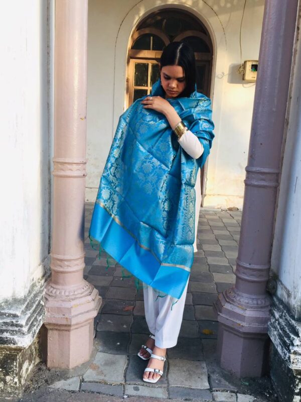 IMG1 - Blue Woven Dupatta – Festive & Ethnic Elegance