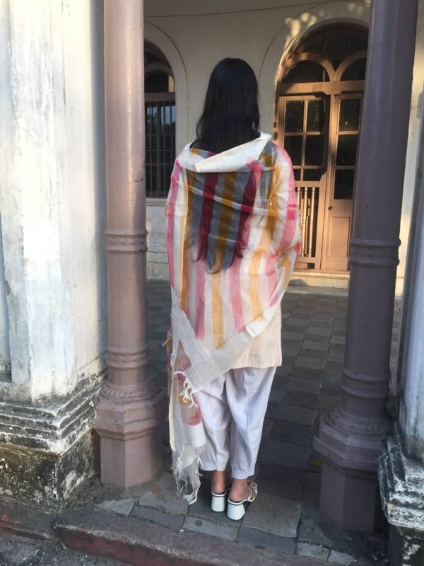 IMG2 - Elegant Chiffon Dupatta – Multicolor Striped Grace