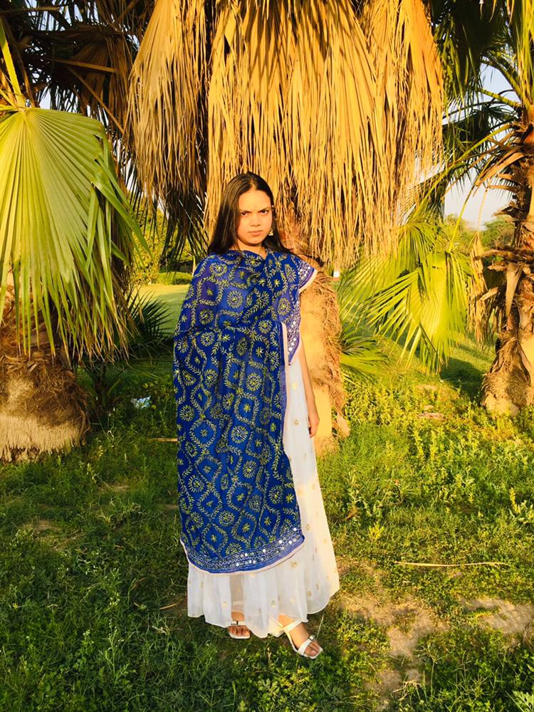 IMG1 - Handcrafted Georgette Hand-Embroidered Dupatta – Royal Blue Elegance