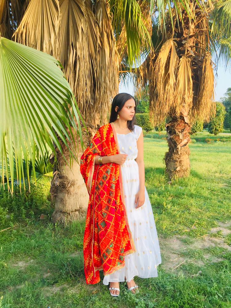 IMG2 - Handcrafted Georgette Phulkari Dupatta – Vibrant Red Elegance