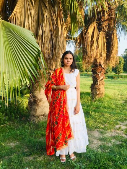 IMG1 - Handcrafted Georgette Phulkari Dupatta – Vibrant Red Elegance