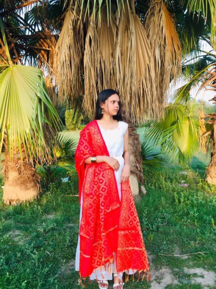 Pure Banarasi Art Dupatta – Red Radiance